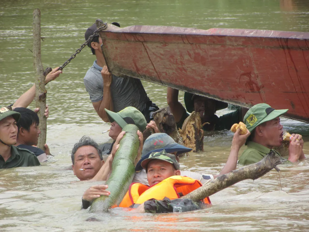 Vỡ đê, hàng trăm người dân trầm mình cứu lúa ảnh 9