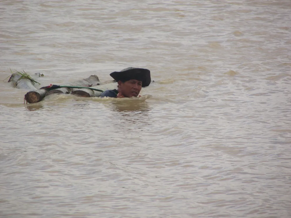 Vỡ đê, hàng trăm người dân trầm mình cứu lúa ảnh 6
