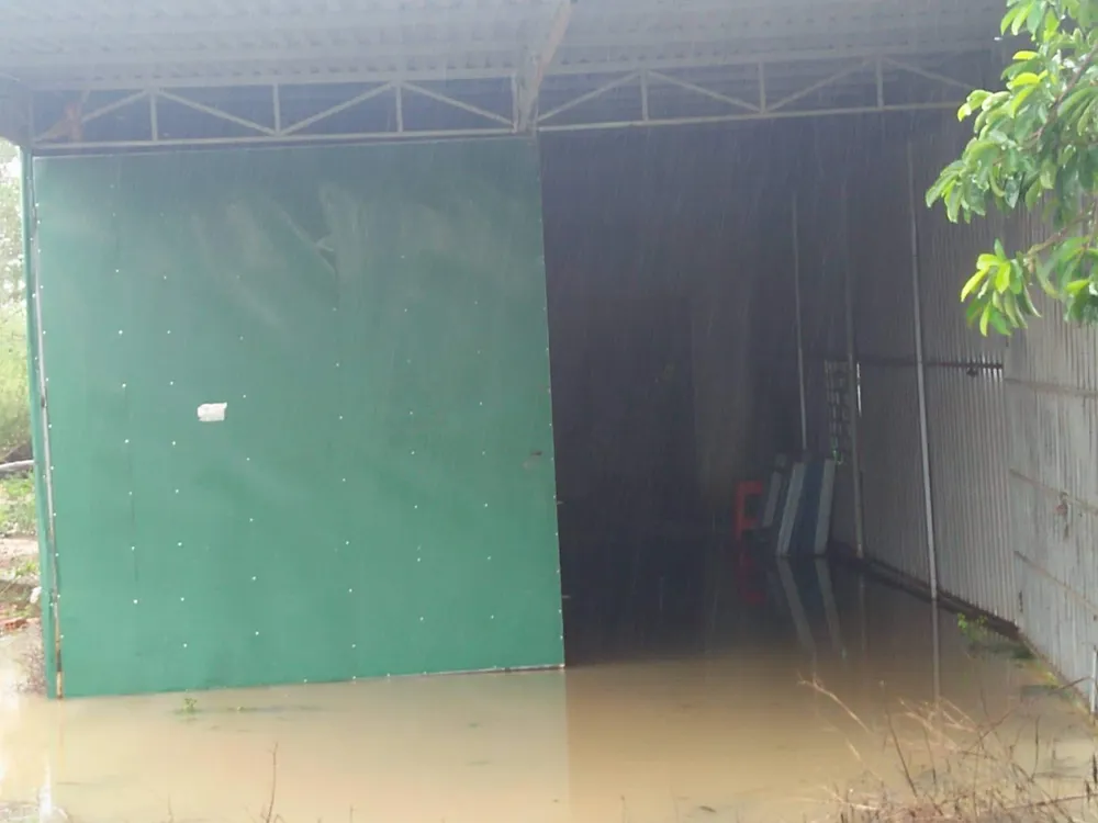 Đắk Lắk: Mưa lớn, hàng trăm nhà dân, hoa màu bị nhấn chìm ảnh 3