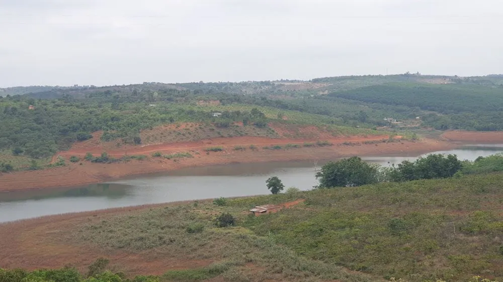 Xử phạt 2 đối tượng tự ý mở đường lấp hơn 5.000m² rừng bán ngập