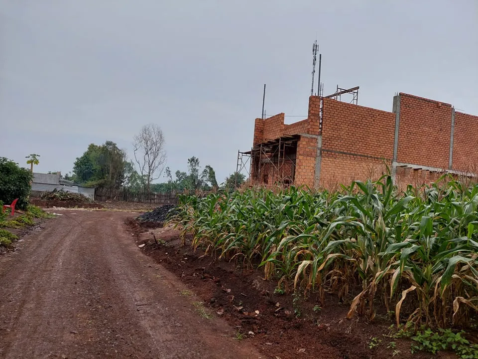 Chủ tịch UBND phường bị đình chỉ công tác vì để xây nhà trái phép tràn lan ảnh 2