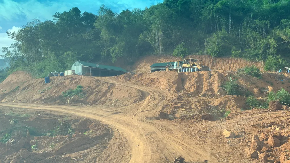 Phát hiện thêm nhiều diện tích rừng bị phá để làm đường Trường Sơn Đông  ảnh 4