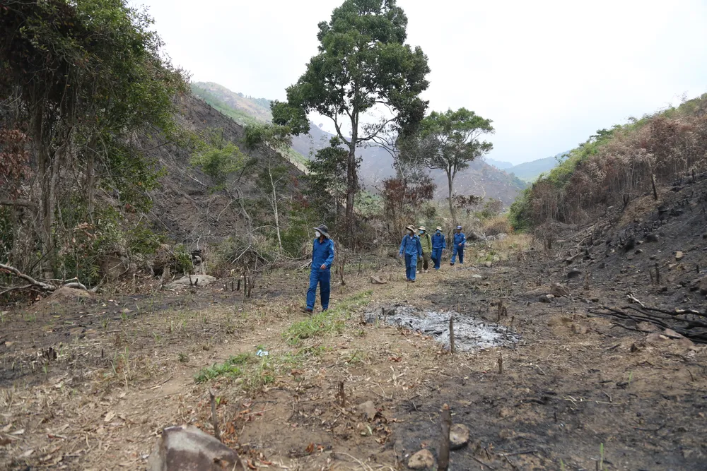 “Nóng” tình trạng phá rừng, lấn chiếm đất rừng ở Đắk Lắk ảnh 3