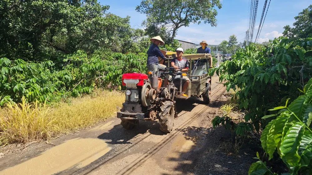 Đắk Lắk cưỡng chế hàng loạt căn nhà xây dựng trái phép trên đất nông nghiệp ảnh 2