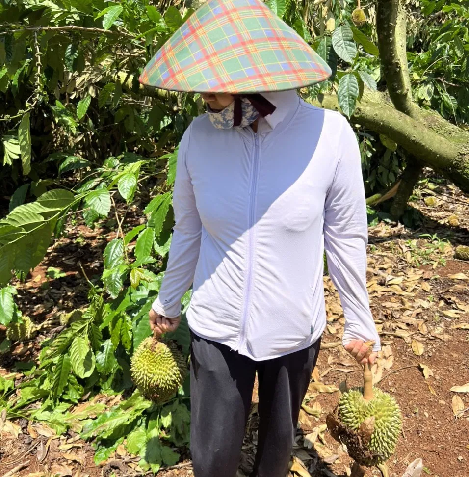 Đắk Lắk: Gió lốc làm bật gốc hàng trăm cây sầu riêng, thiệt hại gần 500 tấn ảnh 2