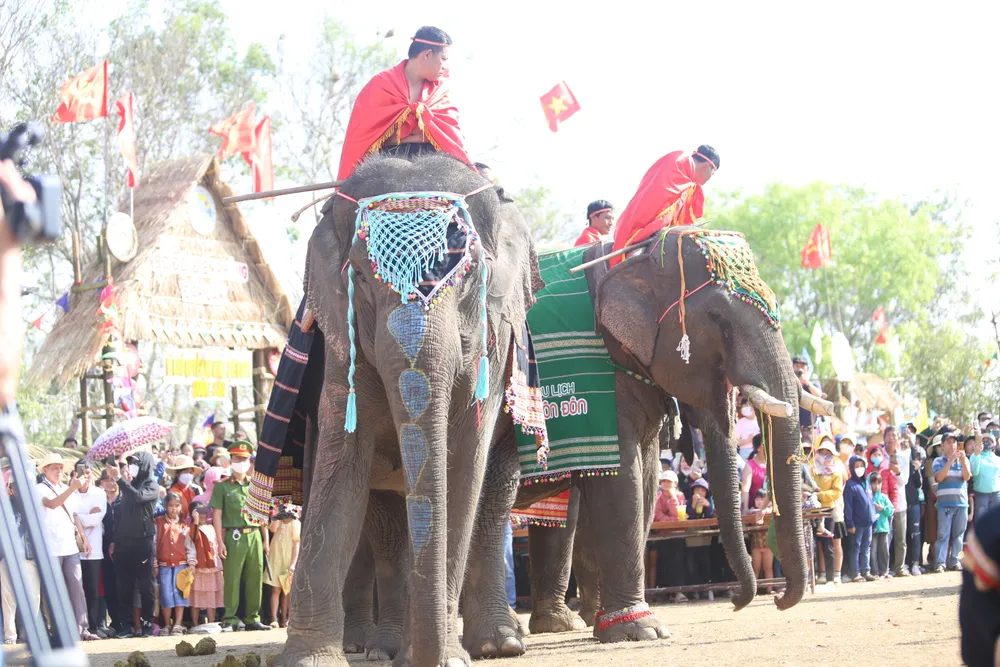 Các chú voi được trang điểm tại lễ hội