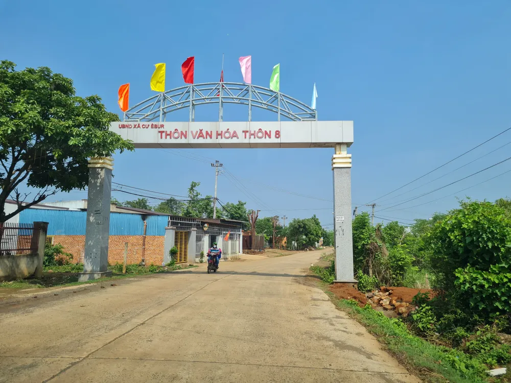 Theo quy hoạch mới, đất ở nông thôn tại thôn 8, xã Cư Êbur bị quy hoạch thành đất trồng cây lâu năm