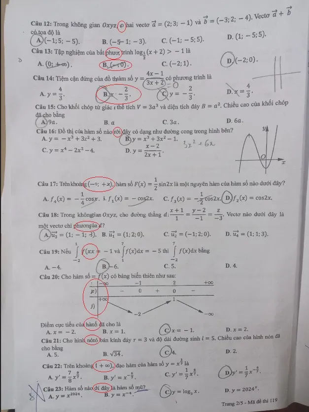 z5582357216680_0f1beb9c9a4787ce75e4e79d7267bc24 (1).jpg