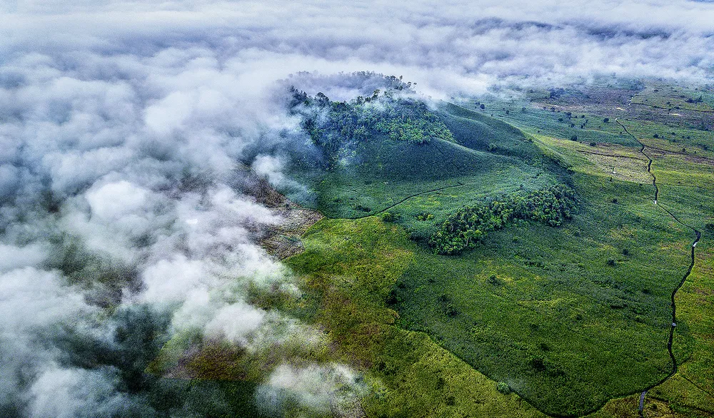 Ảnh 2 - Trần Hồng Vân.jpg