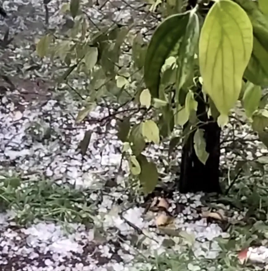 Ảnh màn hình 2025-04-24 lúc 18.52.22.png