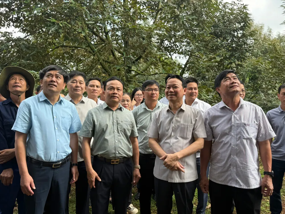 z6634599260094_7511c35108f9053c15e30fe6b25b70f7 (2).jpg