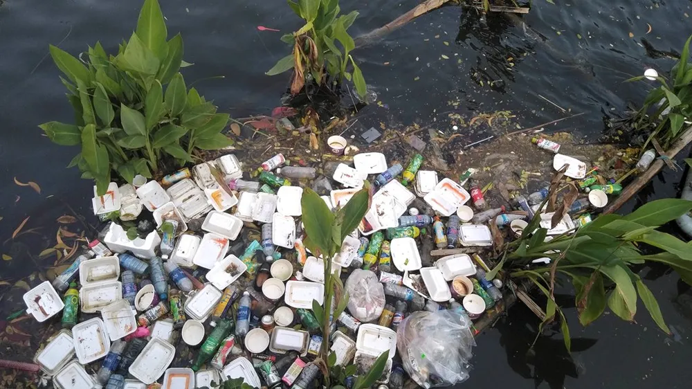 Đà Nẵng: Công viên 29 tháng 3 ngập rác sau tết ảnh 5