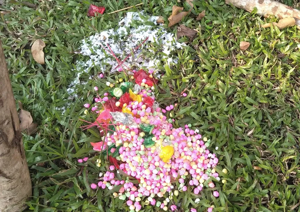 Đà Nẵng: Công viên 29 tháng 3 ngập rác sau tết ảnh 7