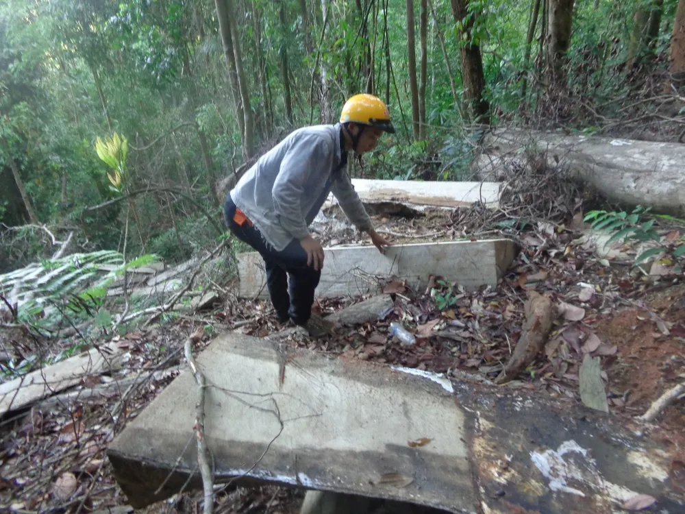 Kiểm điểm 3 kiểm lâm vì để mất rừng ảnh 3