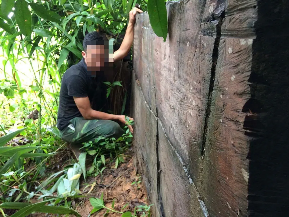 Kon Tum: Gỗ quý ở vùng biên bị đốn hạ la liệt ảnh 8