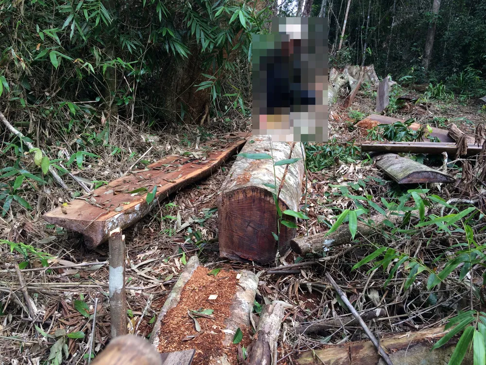 Vụ phá nát rừng Kbang: Tìm thấy 30m³ gỗ ở 2 điểm ảnh 3