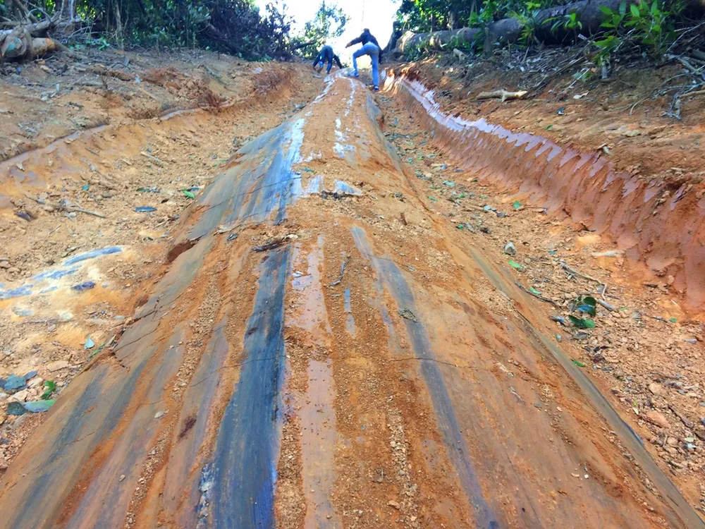 Đột nhập “công trường” khai thác gỗ lậu ảnh 3