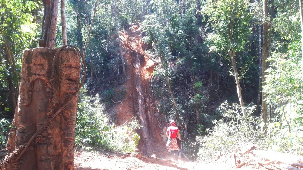 Đột nhập “công trường” khai thác gỗ lậu ảnh 5