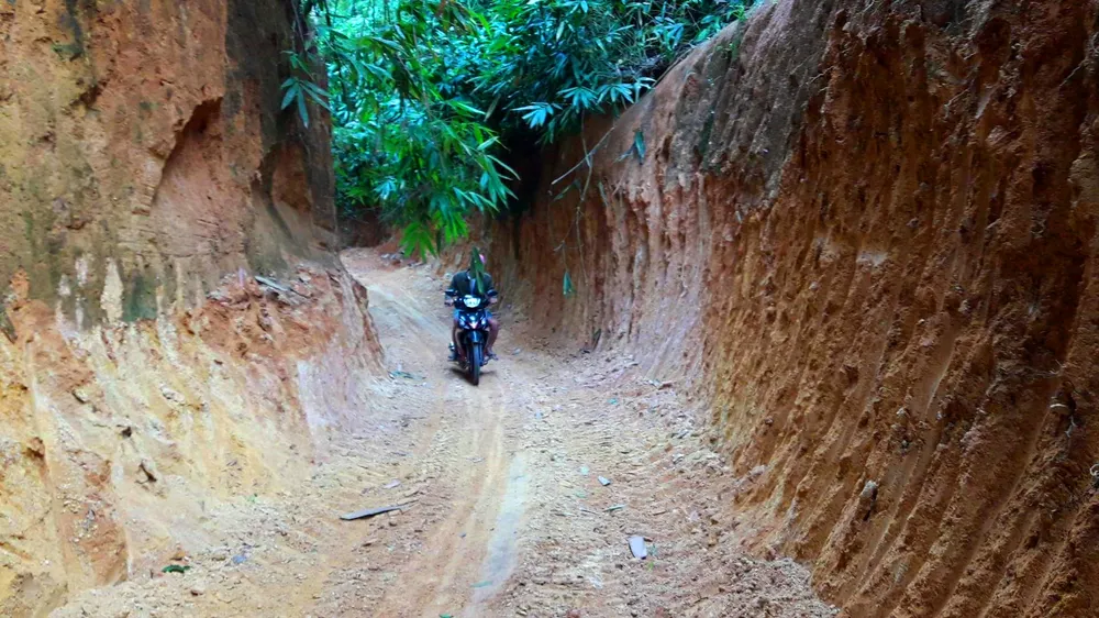 Đột nhập “công trường” khai thác gỗ lậu ảnh 2