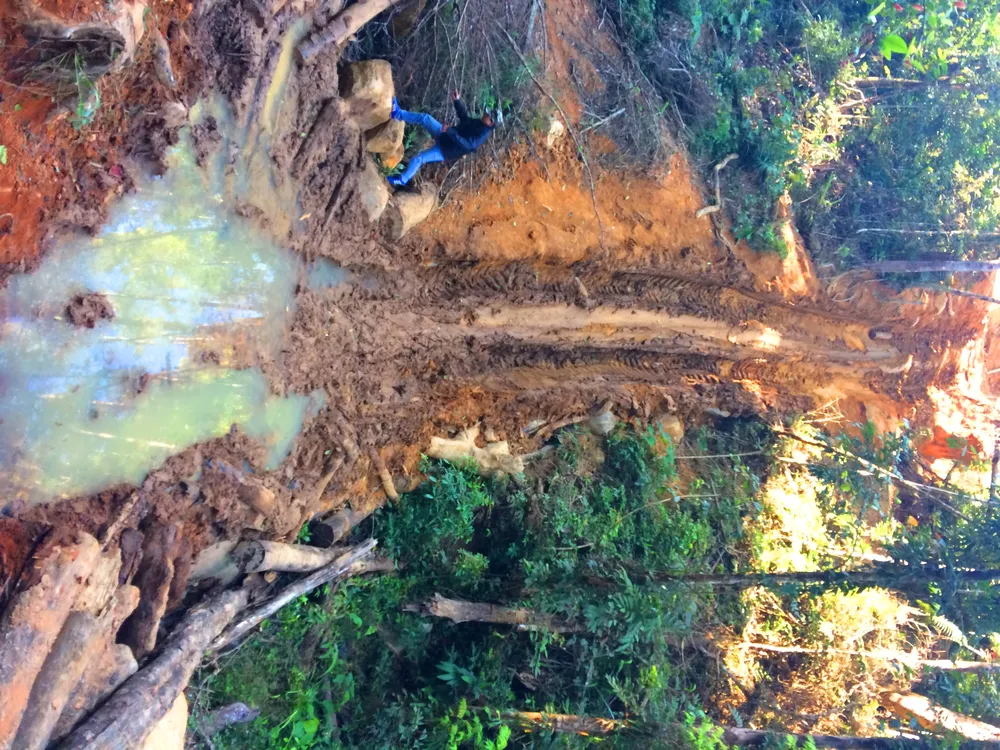 Đột nhập “công trường” khai thác gỗ lậu ảnh 4