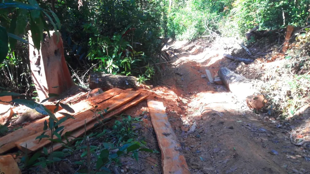 Vụ đột nhập "công trường" gỗ lậu: Truy tìm người và phương tiện khai thác 7,6m³ gỗ vô chủ ảnh 9