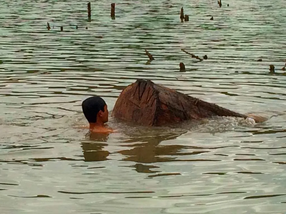 Phát hiện gỗ lậu giấu dưới lòng hồ thủy điện Sê San 3A ảnh 4