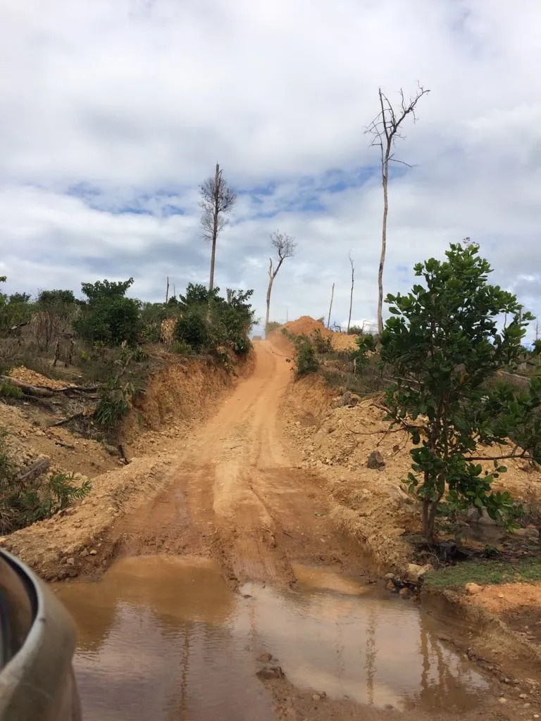 Truy tìm chủ gỗ cất giấu dưới lòng hồ thủy điện Sê San 3A ảnh 4