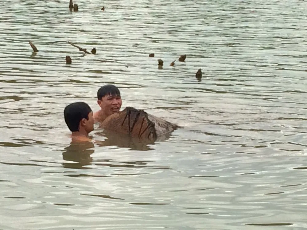 Vụ gỗ lậu giấu dưới hồ thủy điện: Truy quét các bến, phà có khả năng tập kết gỗ  ảnh 1