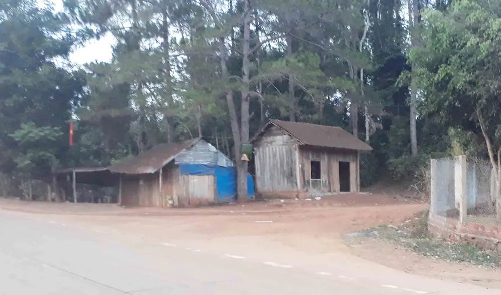 Khiển trách 2 kiểm lâm, cảnh cáo 3 viên chức công ty lâm nghiệp ảnh 5