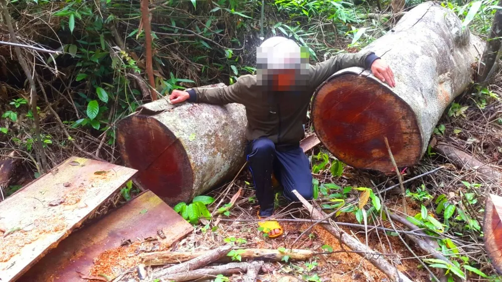 Khiển trách 2 kiểm lâm, cảnh cáo 3 viên chức công ty lâm nghiệp ảnh 4