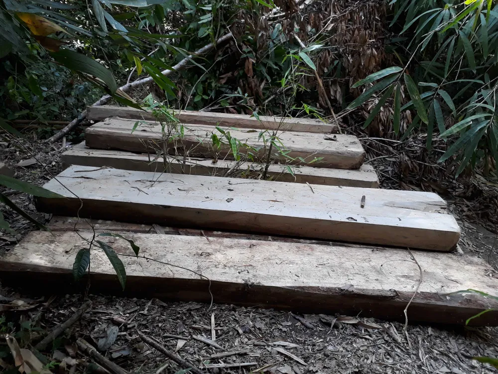 Đột nhập bãi tập kết gỗ lậu ở xã biên giới  ảnh 3