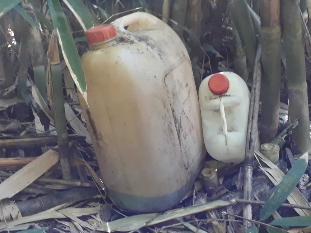 Đột nhập bãi tập kết gỗ lậu ở xã biên giới  ảnh 7