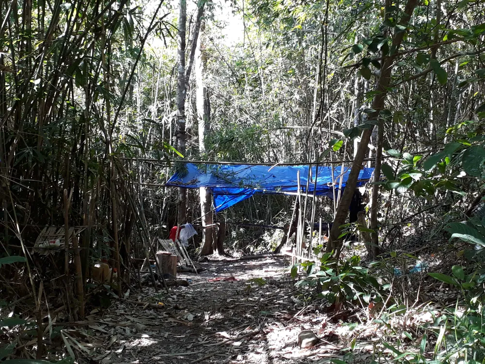 Đột nhập bãi tập kết gỗ lậu ở xã biên giới  ảnh 5