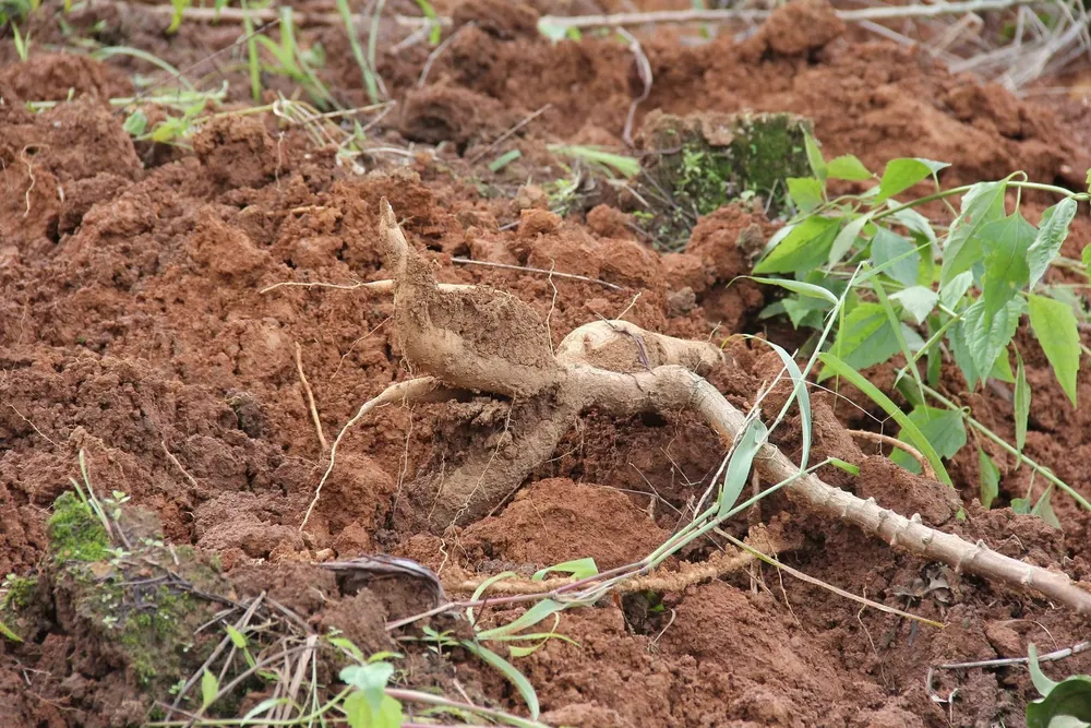 Thêm nhiều điểm sạt lở  trên tuyến đường 482 tỷ vừa làm xong ảnh 10