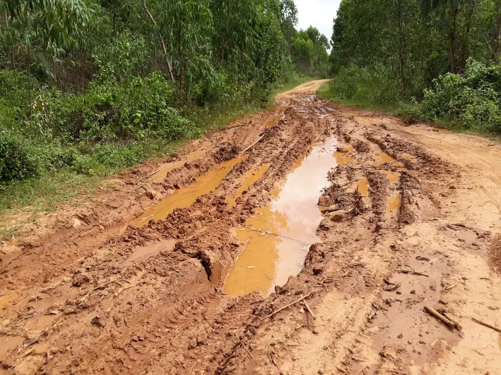 Gia Lai: Mỏ quặng đóng cửa, dân khoét đồi, đào đất khai thác lậu ảnh 4