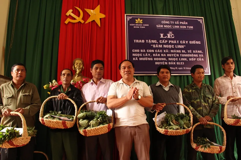 Tặng sâm giống Ngọc Linh cho xã nghèo  ảnh 2