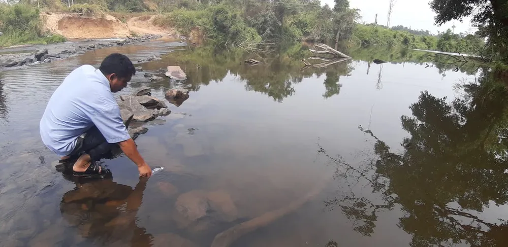 Dân tố nhà máy mì xả thải hôi thối, làm cá chết đầy sông ảnh 2