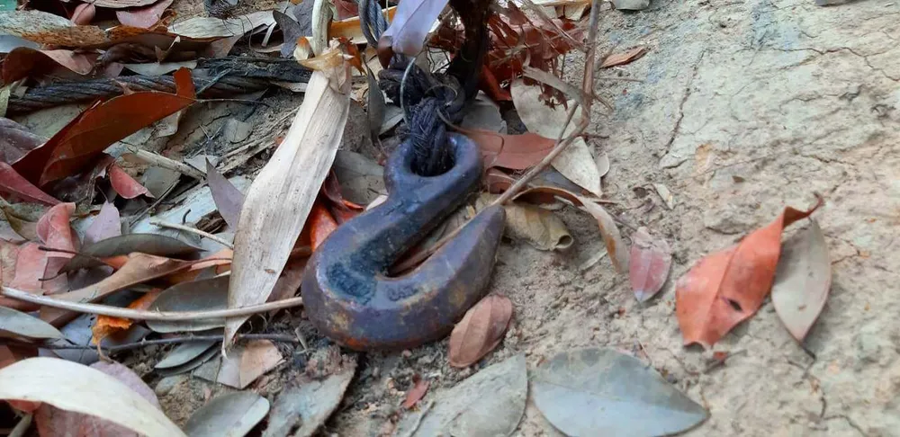 2 trạm bảo vệ rừng chốt 2 đầu, lâm tặc ngang nhiên phá rừng cổ thụ ảnh 22