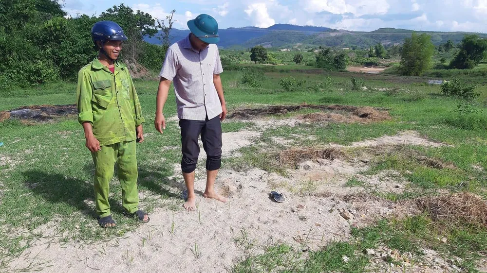 Nhà máy mì để cát lấp đất ruộng của dân ảnh 2