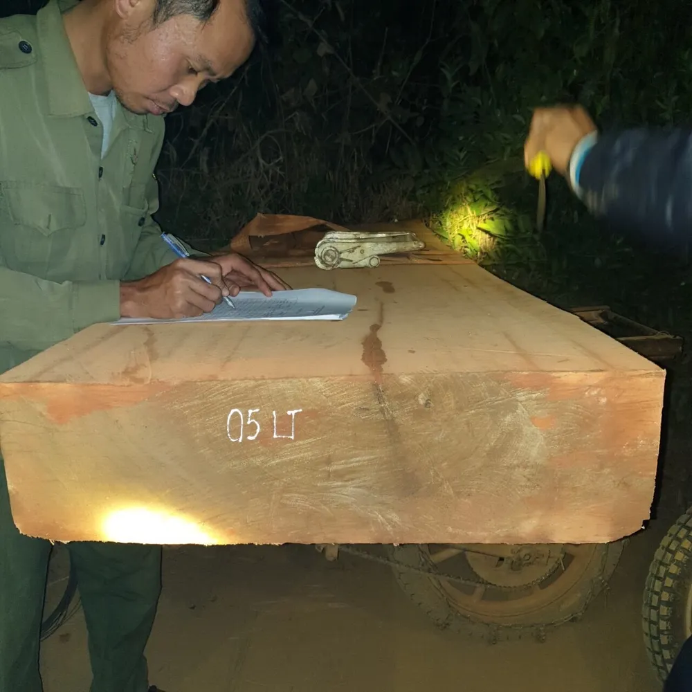 Bị chặn bắt, hàng chục lâm tặc vứt xe chở gỗ chạy tán loạn trong đêm ảnh 1