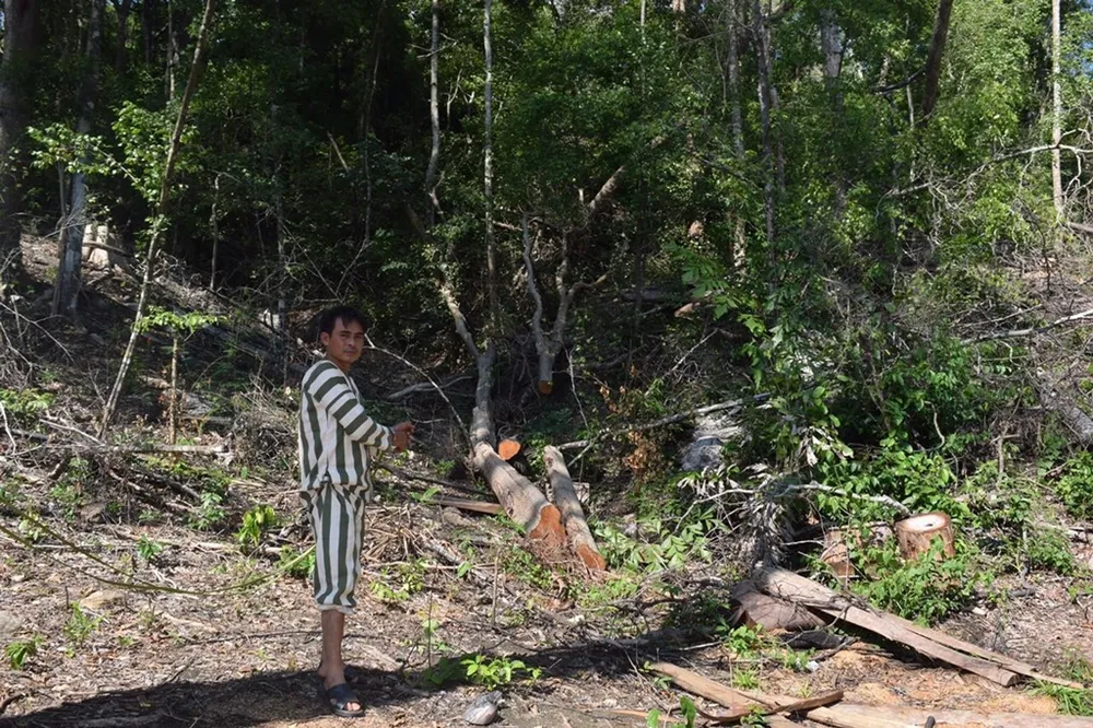 Chủ tịch tỉnh tặng bằng khen 2 cán bộ công an vì chiến tích truy bắt băng nhóm cưa hạ 103m³ gỗ  ảnh 2