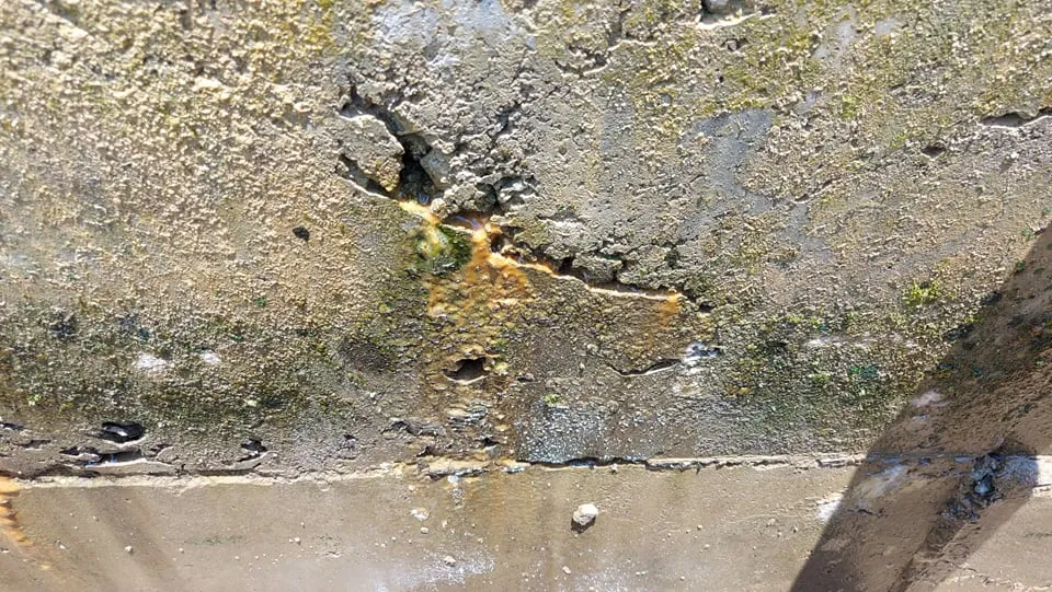 Ruộng đồng khô khát bên công trình thủy lợi trăm tỷ chưa bàn giao đã nát ảnh 4