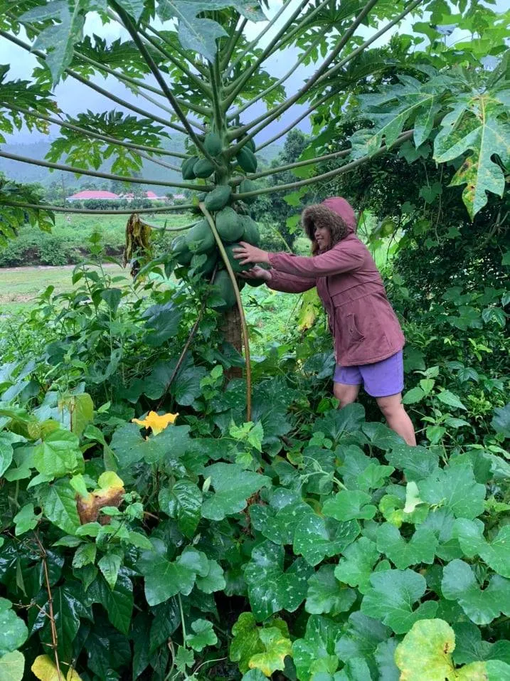 Đồng bào Xê Đăng lên rừng hái măng ủng hộ người dân TPHCM ảnh 9