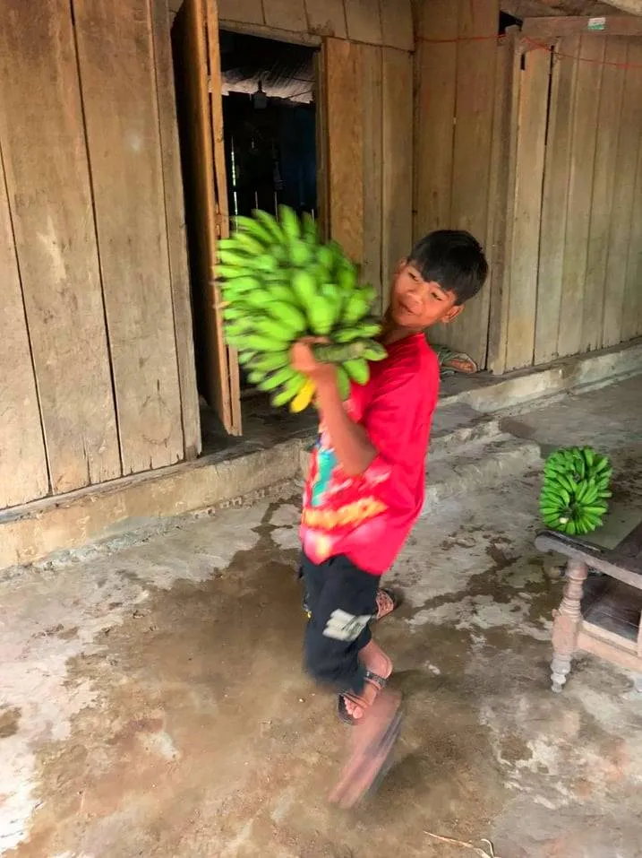 Đồng bào Xê Đăng lên rừng hái măng ủng hộ người dân TPHCM ảnh 10