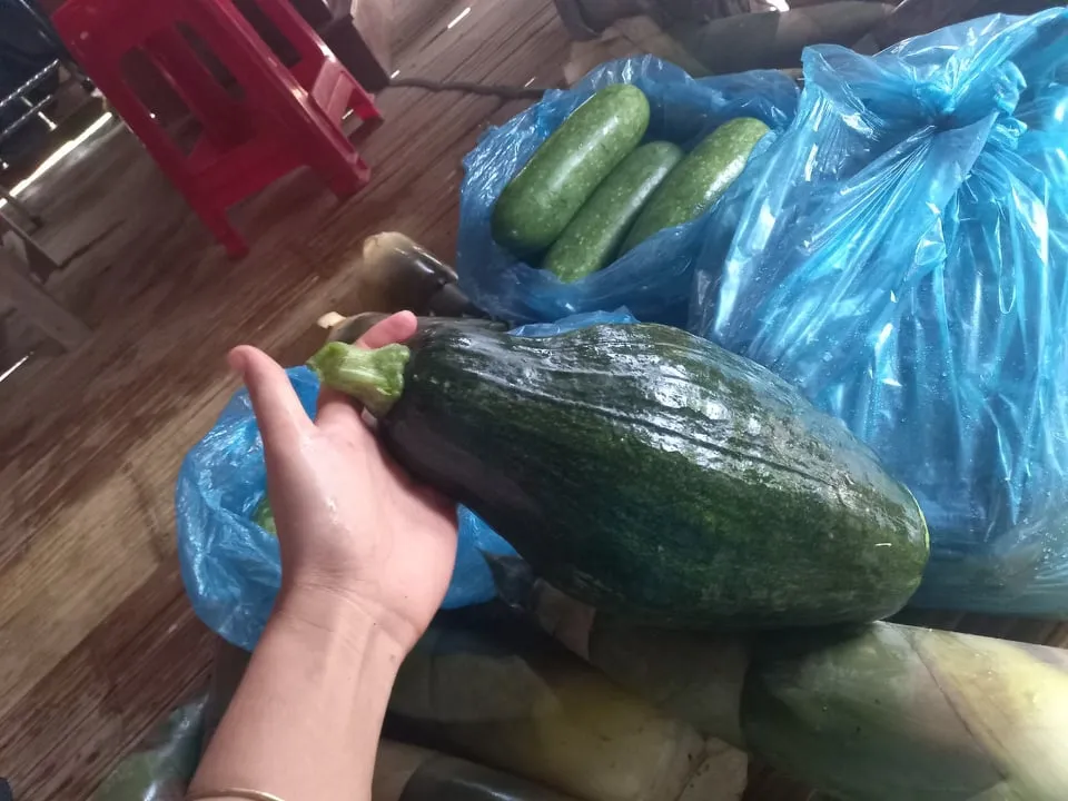 Đồng bào Xê Đăng lên rừng hái măng ủng hộ người dân TPHCM ảnh 12