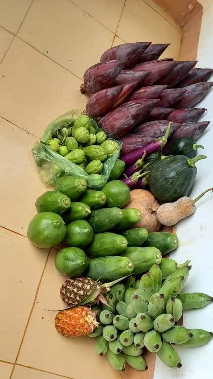 Đồng bào Xê Đăng lên rừng hái măng ủng hộ người dân TPHCM ảnh 1