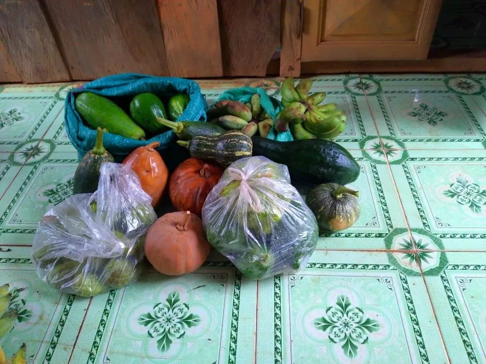 Đồng bào Xê Đăng lên rừng hái măng ủng hộ người dân TPHCM ảnh 7