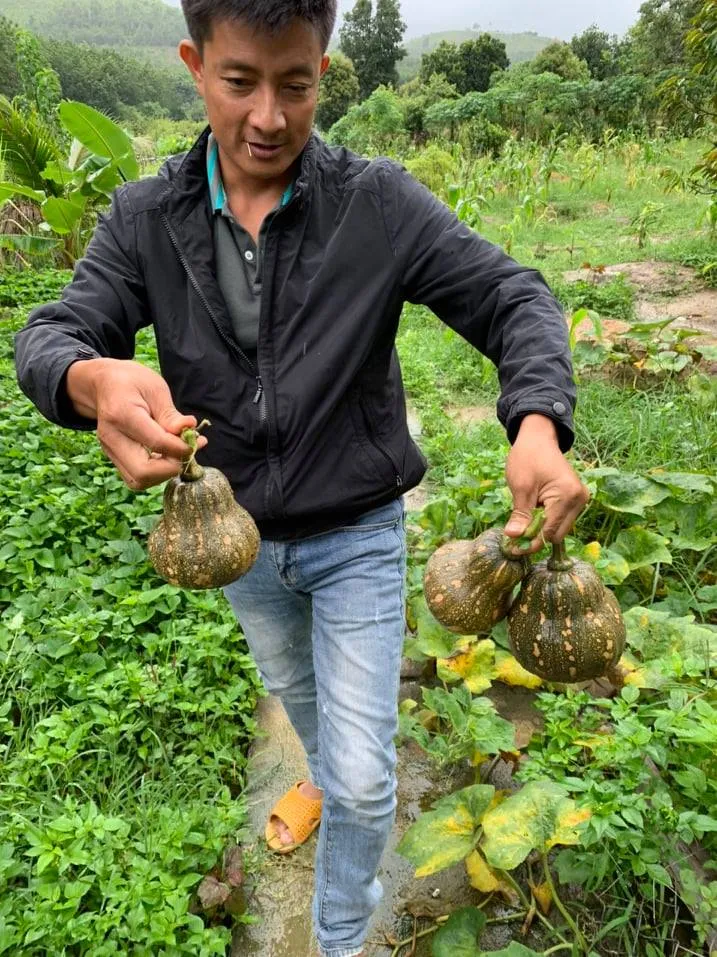 Đồng bào Xê Đăng lên rừng hái măng ủng hộ người dân TPHCM ảnh 8