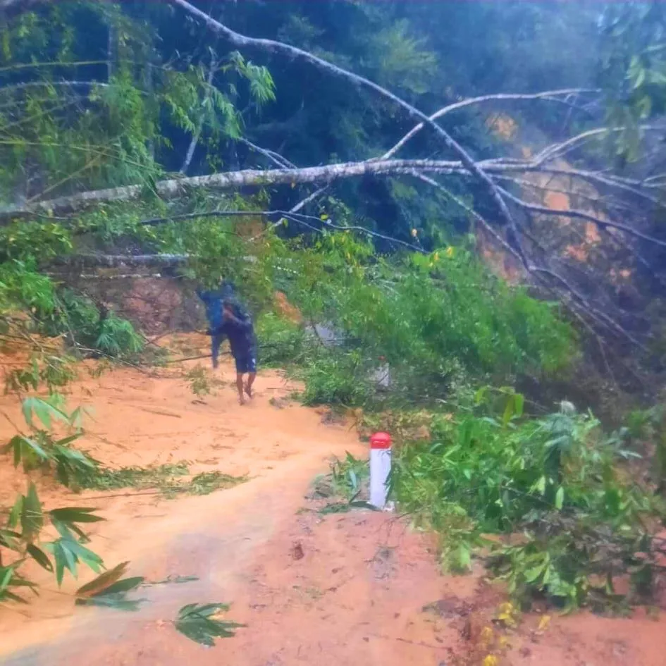 Mưa lớn gây ngập hàng ngàn hécta hoa màu ở Đắk Lắk ảnh 5