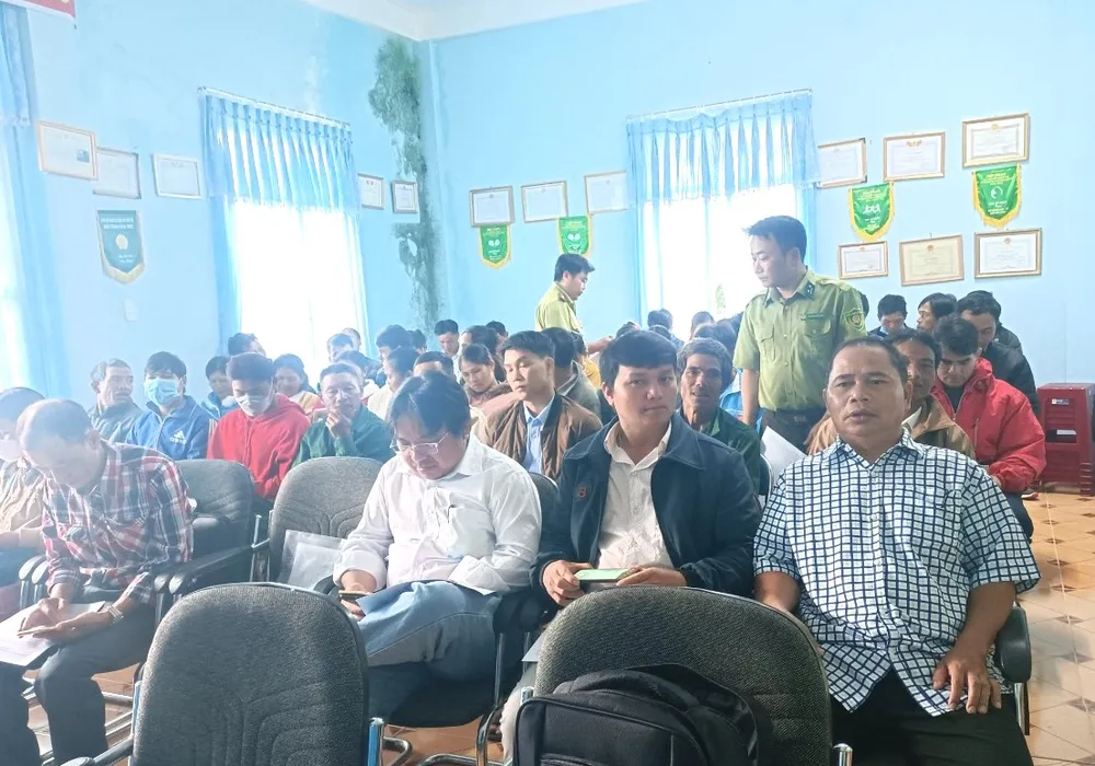 Kiểm lâm tập huấn kỹ thuật phòng trừ sâu bệnh trên “quốc bảo” Sâm Ngọc Linh ảnh 2